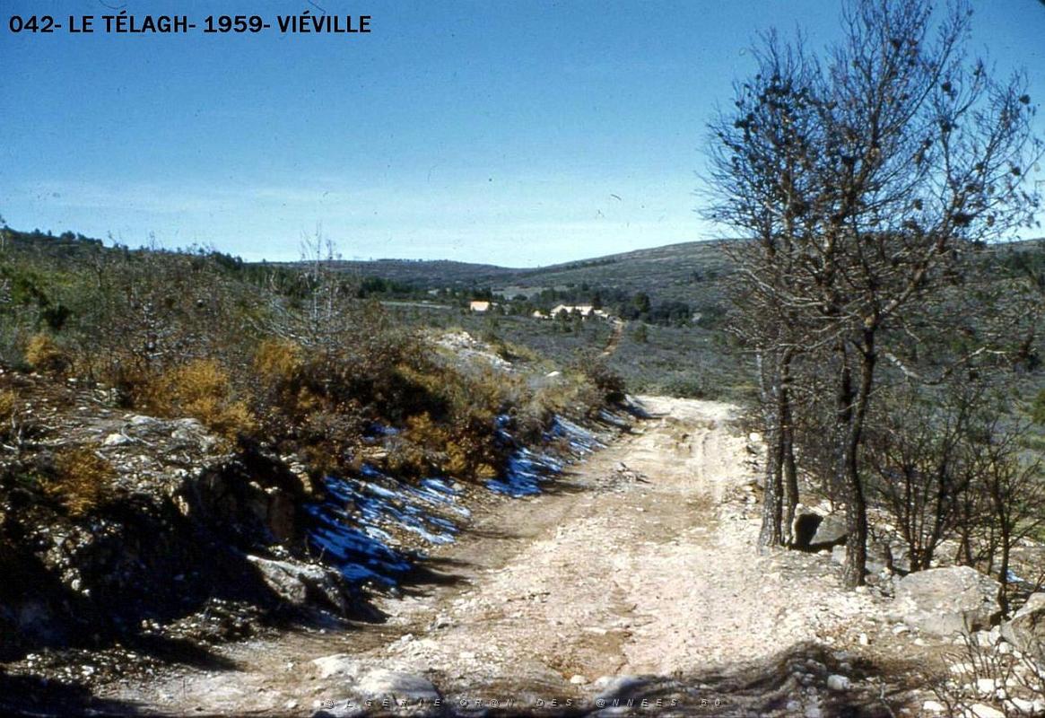 042- Le Telagh- 1959- Vieville.jpg